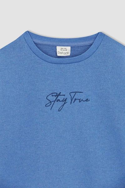 DeFacto Boy's Printed Crew Neck Sweatshirt