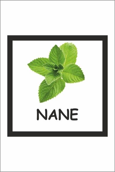 Dekotadan Spice Set Jar Labels 42 Pack