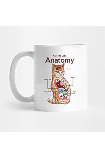 Pixxa Kedi Anatomisi Kupa Bardak