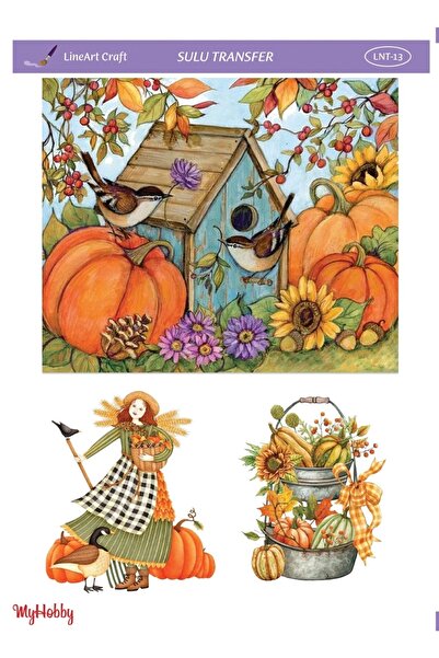 LİNEART Sulu Transfer Lnt13 25x35cm