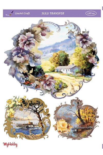 Genel Markalar Sulu Transfer Lnt44 25x35cm