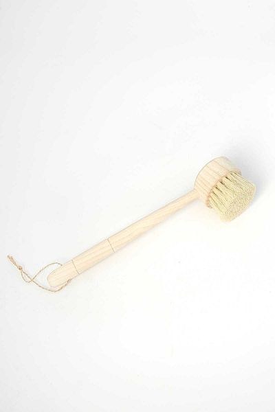 ComesCosmetic Natural Tampic Herb Dish Brush with Handle
