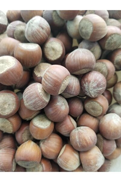 YEŞİL EGEM Gıda Çerez Kabuklu Fındık