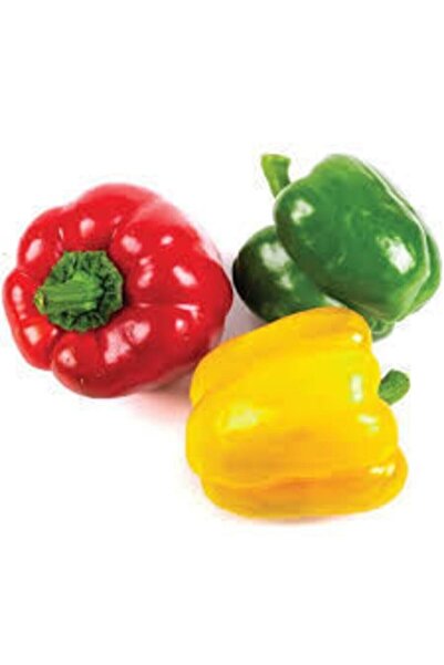 Köy Tohumları 30 Adet Tohum Renkli Rengarenk Dolmalık Biber Tohumu Taze Dolma...