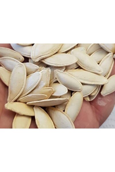 Köy Tohumları 70 Adet Tohum Organik Tohum Taze Çekirdeklik Nevşehir Kabak Toh...