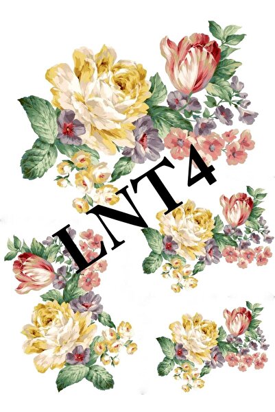 LİNEART Lnt04 نقل المياه 25x35 سم