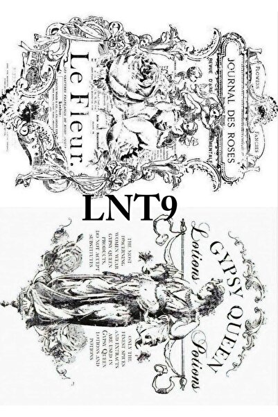 LİNEART نقل المياه Lnt09 25x35 سم