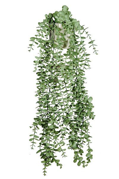 Lilac Home Yapay Çiçek Maxi Boy Beyaz Saksılı Pastel Yeşili Okaliptus Sarkıtı