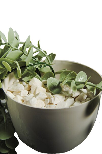 Lilac Home Yapay Çiçek Maxi Boy Beyaz Saksılı Pastel Yeşili Okaliptus Sarkıtı