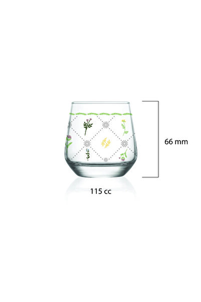 Mary Liz Cassidy 6'lı Kahve Yanı Su Bardağı