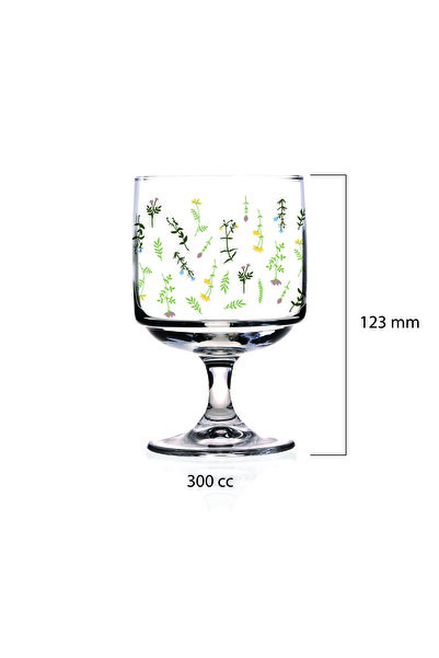 Mary Liz Cassidy 6'lı Dondurmalık Cup & Magnolya Bardağı