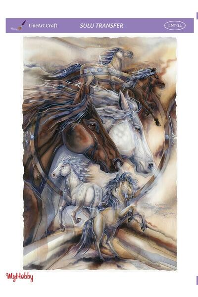 LİNEART Sulu Transfer Lnt14 25x35cm