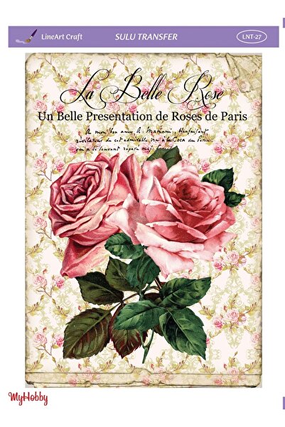 LİNEART Sulu Transfer Lnt27 25x35cm