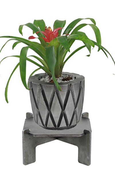 Stein Kohle Ayaklı Saksı Ahşap Büyük Boy 1 Adet Gümüş Renk Eskitme Uygulamalı...