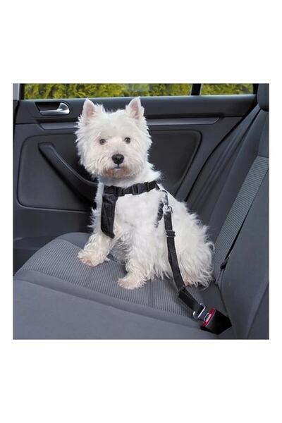 Ankaflex Black Cat Dog Car Seat Belt - Car Collar Accessories