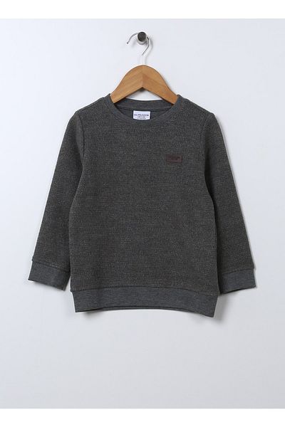 U.S. Polo Assn. Boy's Gray Melange Orpa Sweatshirt