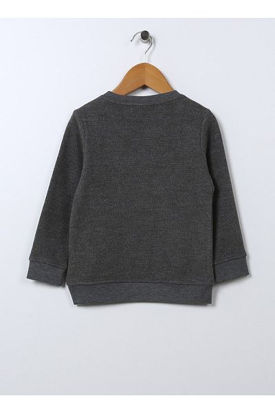 U.S. Polo Assn. Boy's Gray Melange Orpa Sweatshirt