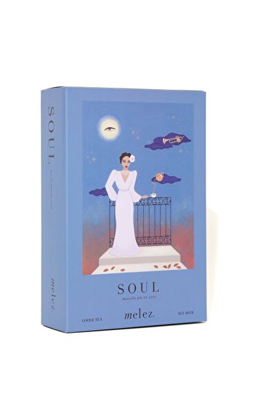 Melez Tea Soul Tea 40 gr - Masala Pu'er Çayı