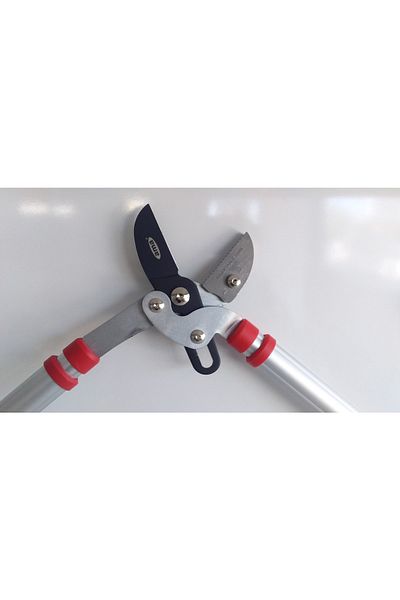 Ama Branch Bud - Original Design with Scissors