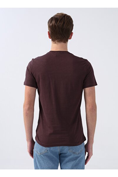 LİMON COMPANY Lemon Crew Neck Printed Brown Men's T-Shirt Story