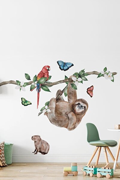 Kt Grup Amazon Safari Günlüğü Tembel Hayvan Ve Arkadaşları Duvar Sticker Seti