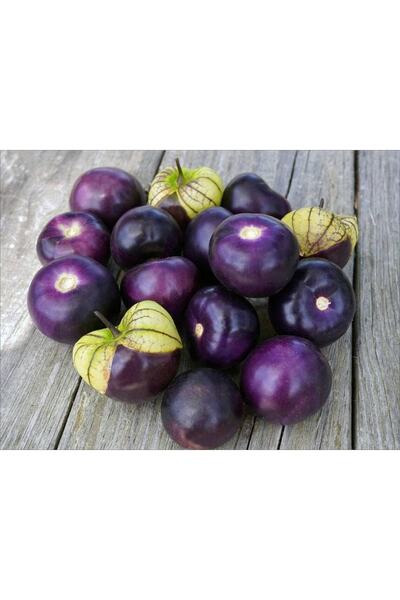 Tohum Dünyam 10 Adet Purple Domates Tohumu