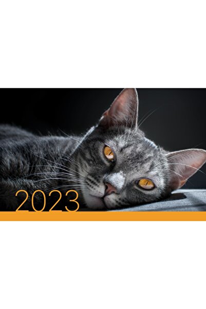 Gıpta 2023 Mix Resimli 78x33 Cm Gemici Takvim Yeni Sezon Büyük Puntolu Askılı