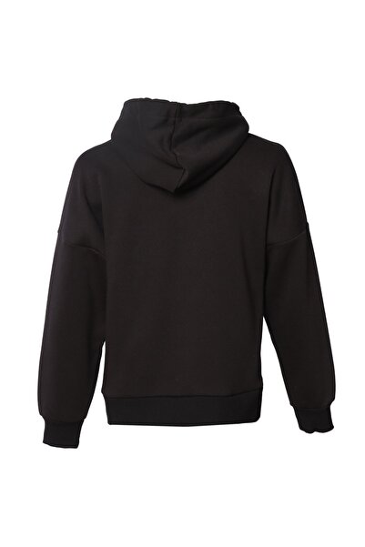 hummel Hmlwısmer Hoodıe Sweatshirt