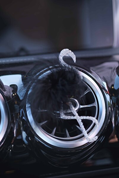 TASARIM ARABAM ATİKE ELİF AKIN Flamingo Koku Gümüş Taş & Siyah Tüy