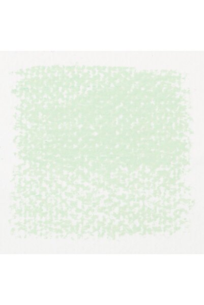 Rembrandt : Soft Pastel Paint : Permanent Green Light (9)