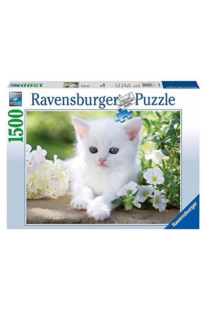 Adore Ravensburger 1500 Parça Puzzle Beyaz Kedi 162437