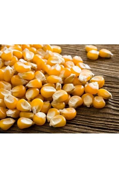 Asenya Tane Mısır 3 Kg Yemlik Mısır Yem Mısır Hayvan Yemi Mısır Yemi