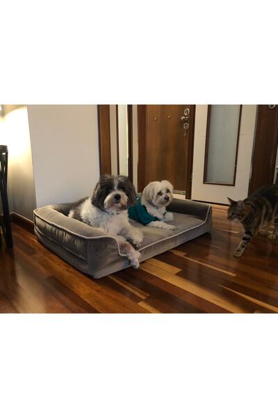 viscopet Premium Sofa Blok Süngerli Alezli Fermuarlı Yıkanabilir Köpek Yatağı