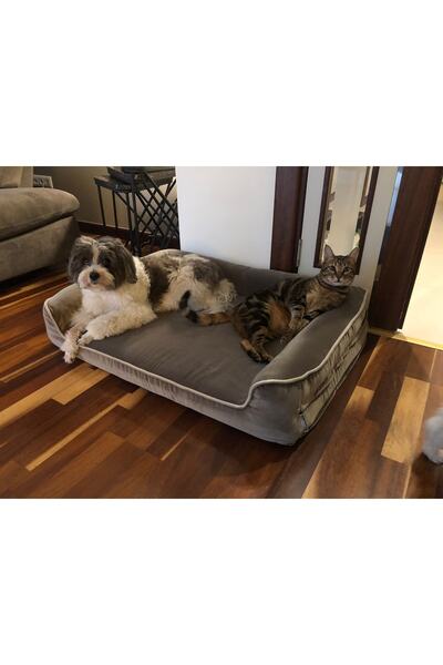 viscopet Premium Sofa Blok Süngerli Alezli Fermuarlı Yıkanabilir Köpek Yatağı
