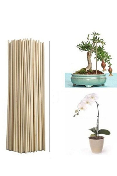 canlipetshop Saksı Bitkileri Destek Çubuğu 35 Cm 50 Ad