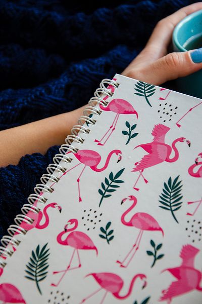 CoNotes Hard Cover Spiral Dotted Notebook - Bullet Journal