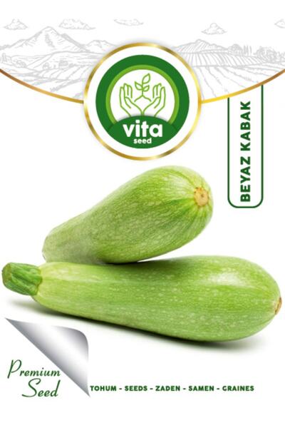 Kabak Tohumu Beyaz 10 gr