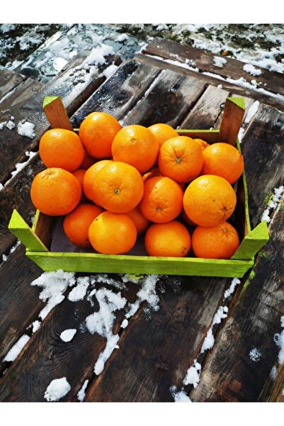 bibakmışsınkapında Finike Portakalı 5 kg