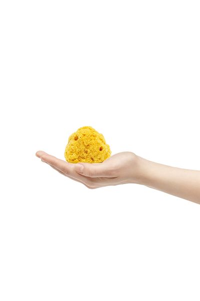 BAZAAR 4 Sea Sponge Baby Size Baby Size (13-17) GrBz-4879