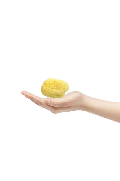 BAZAAR 4 Sea Sponge Baby Size Baby Size (8-10) GrBz-5452