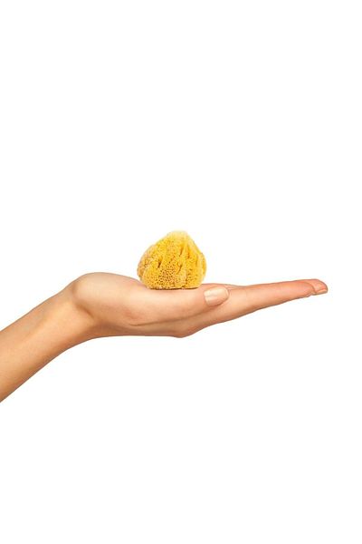 BAZAAR 4 Sea Sponge Baby Size Baby Size (10-13) GrBz-8874