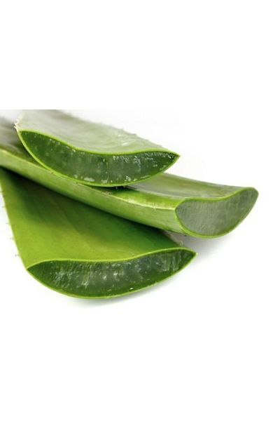 LR Aloe Via Aloe Vera and Propolis Cream