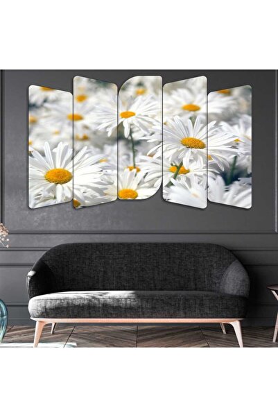 EVLOYA Beyaz Papatya - 5 Parçalı Tablo