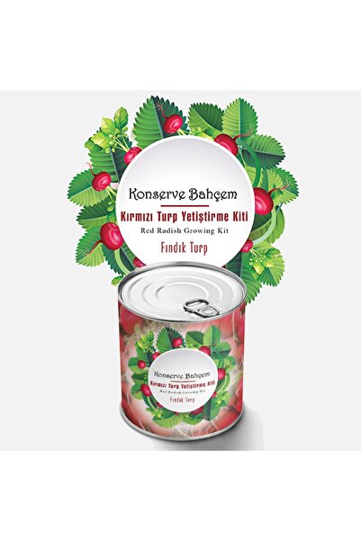 Red Radish Growing Kit - Vegetable Seedling Kit Red Radish Seed And Peat Set