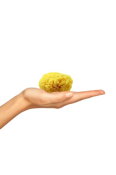 BAZAAR 4 Sea Sponge Baby Size Baby Size (13-17) GrBz-4866
