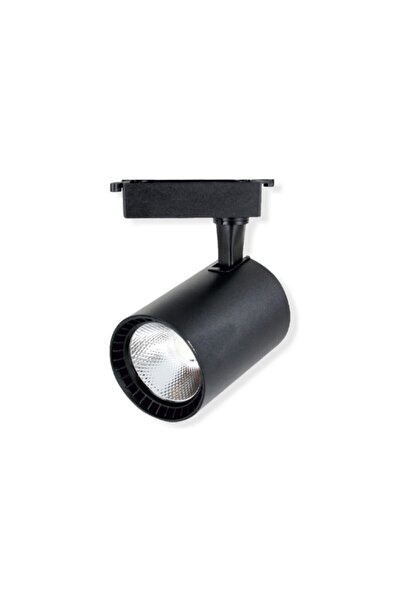 Noas 30w Ray Led Spot Siyah Kasa Işık 4000k Yl29-3107