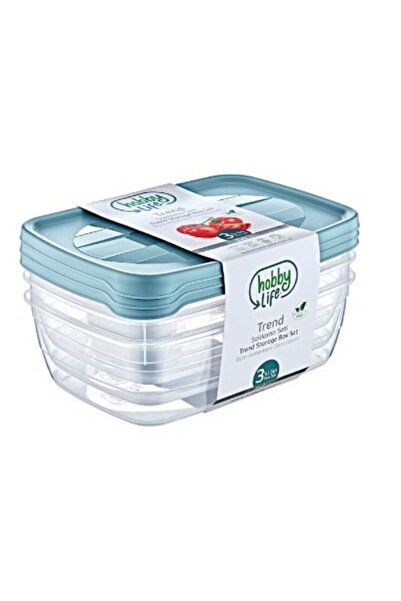 HOBBY LİFE Dikdörtgen Trend Saklama Kabı 3 x 2 L 1017