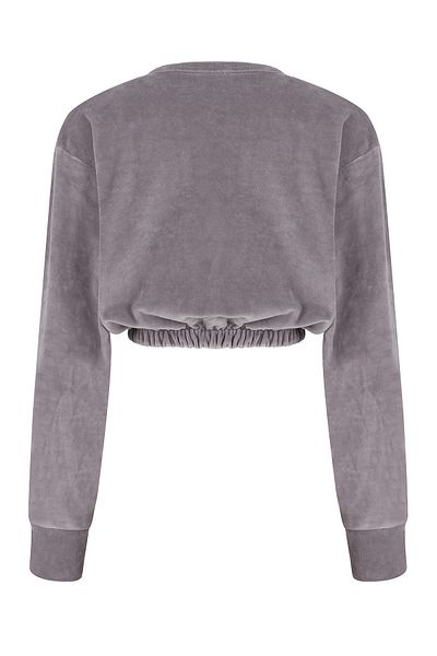 Whenever Company Gray Velvet Crop Ultra Soft Sweatshirt