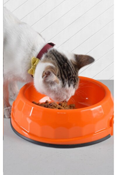 Reyon Kedi Köpek Mama / Su Kabı Midi Boy (turuncu)