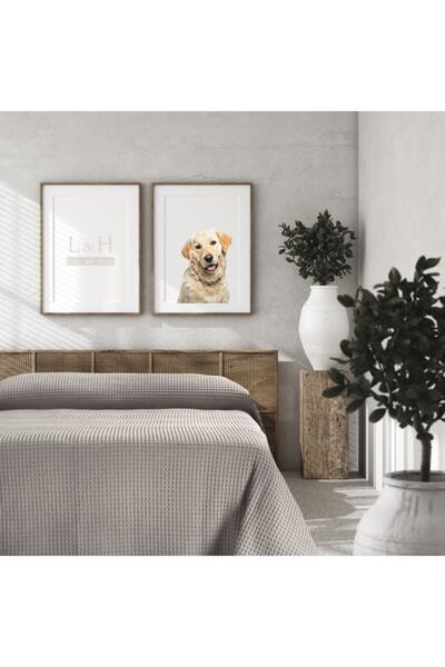 Lucy and Home Çift Kişilik Pike, Yatak Örtüsü 260x260 Cm Bej